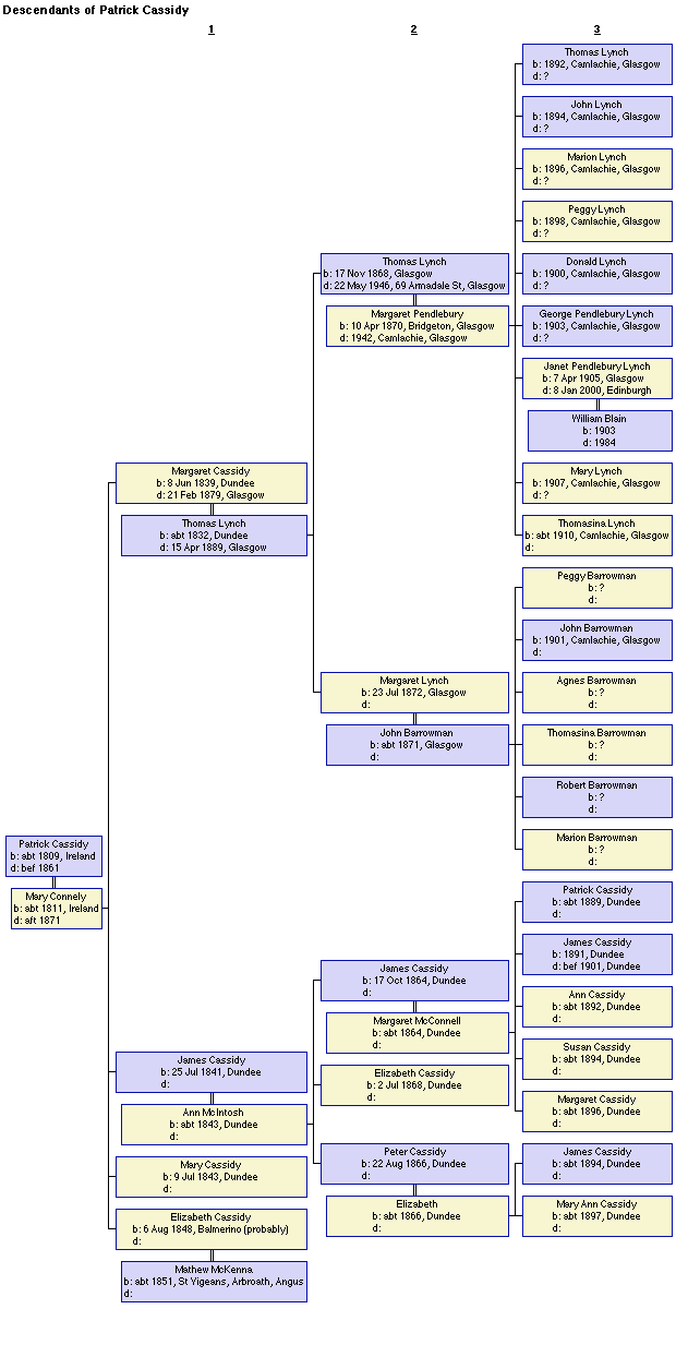 Descendants of Patrick Cassidy and Mary Connolly